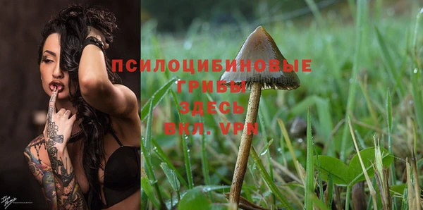 дмт Белоозёрский