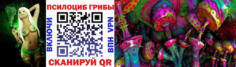 Галлюциногенные грибы Psilocybe  blacksprut зеркало  Покровск 